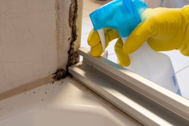 Best Preventive Mold Services in Cherry Hill, VA