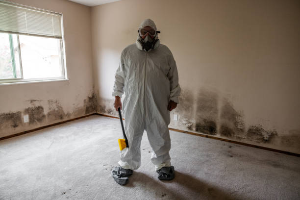 Trusted Cherry Hill, VA Mold Remediation Experts